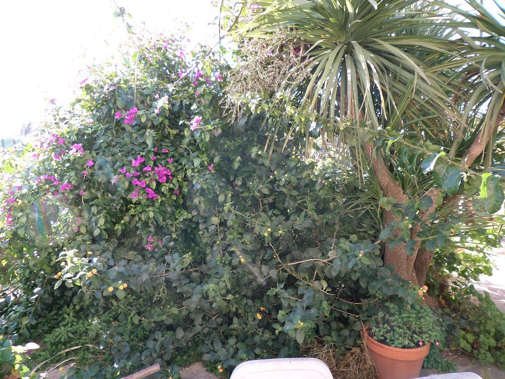 B&B Villino Lory Marino Εξωτερικό φωτογραφία